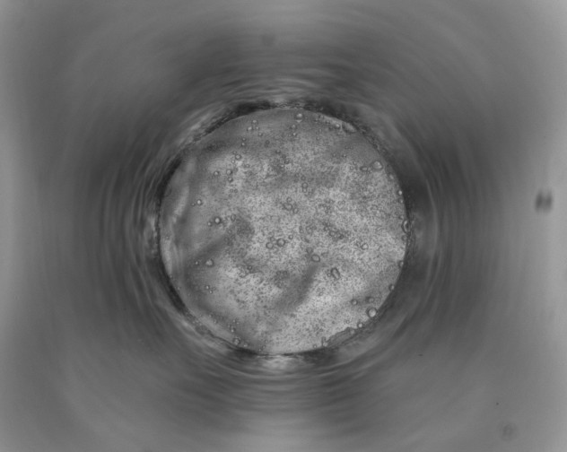 X0000089910527200707201759