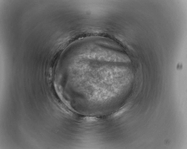 X0000089910528200707201759