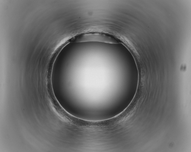 X0000089910530200707201758