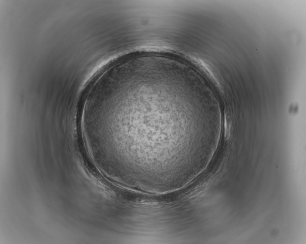 X0000089910531200707201758