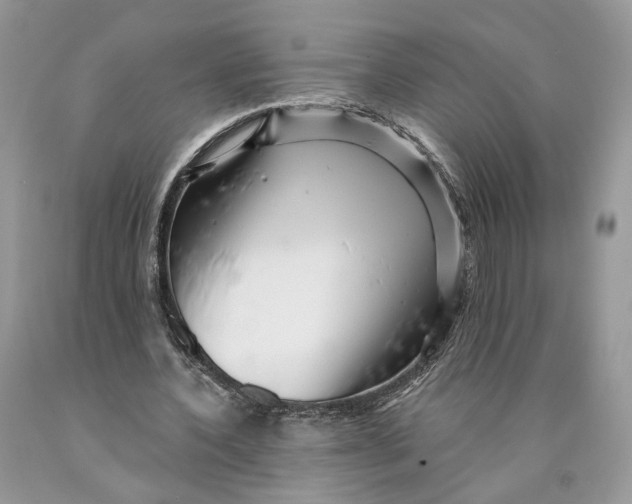 X0000089910532200707201758