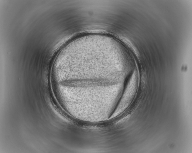 X0000089910533200707201758