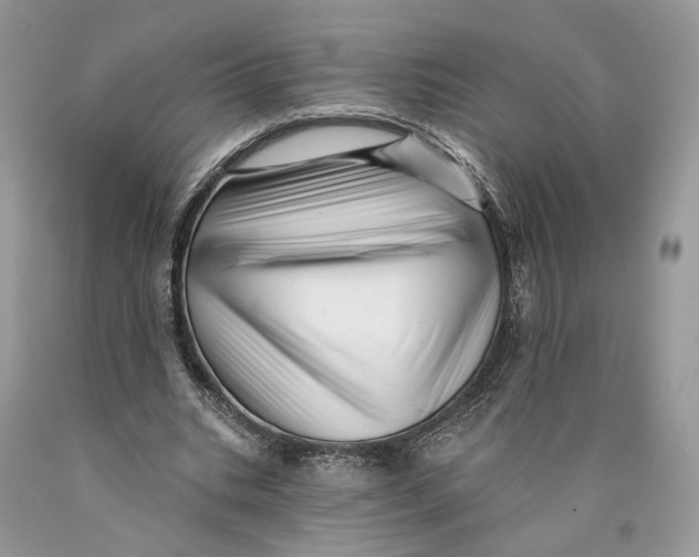 X0000089910535200707201758