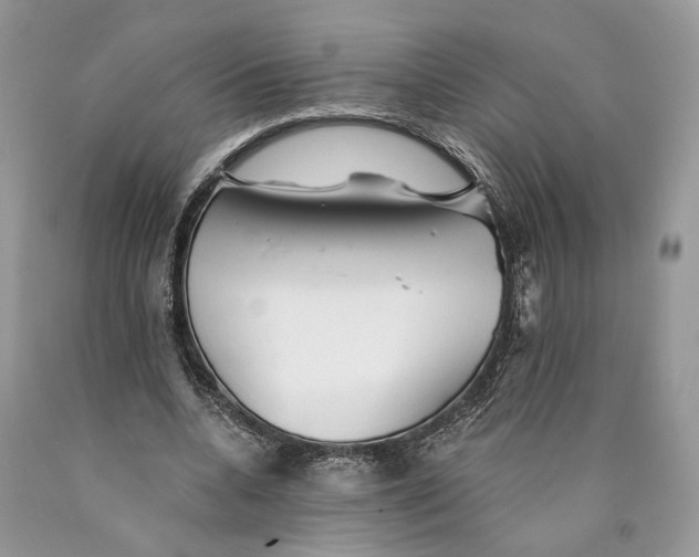X0000089910536200707201758