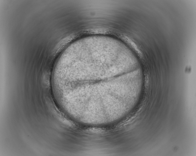 X0000089910537200707201758