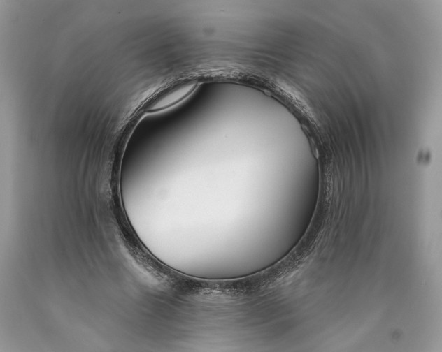 X0000089910538200707201758