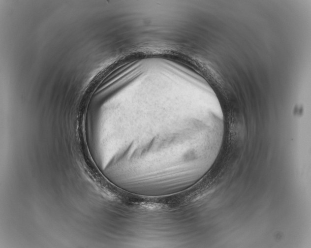 X0000089910539200707201758