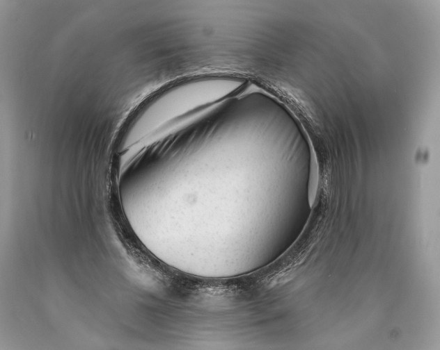 X0000089910540200707201758