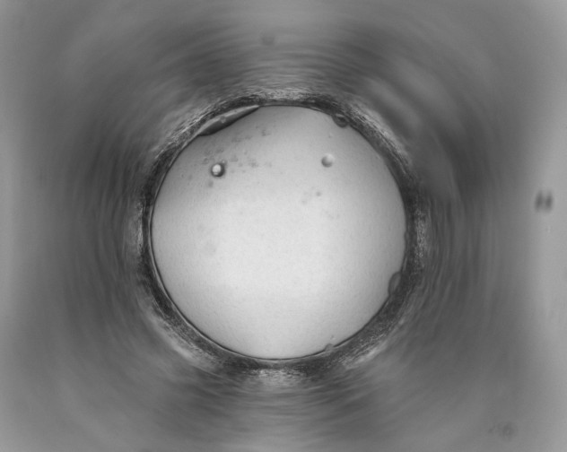 X0000089910541200707201758