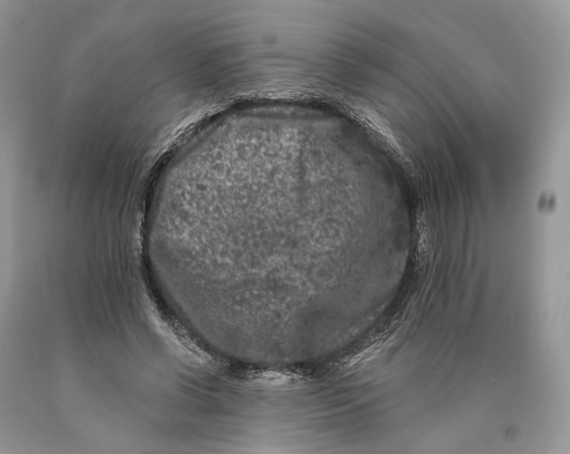 X0000089910542200707201758