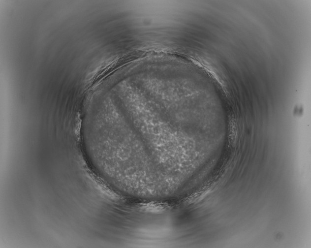 X0000089910545200707201758