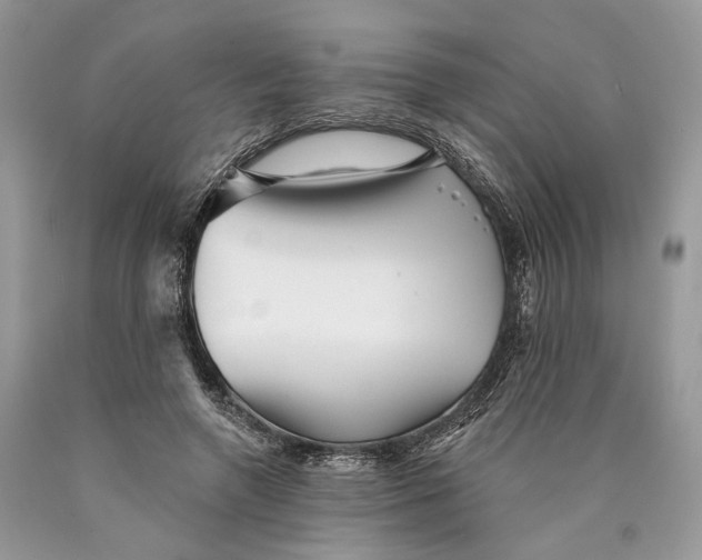 X0000089910546200707201758