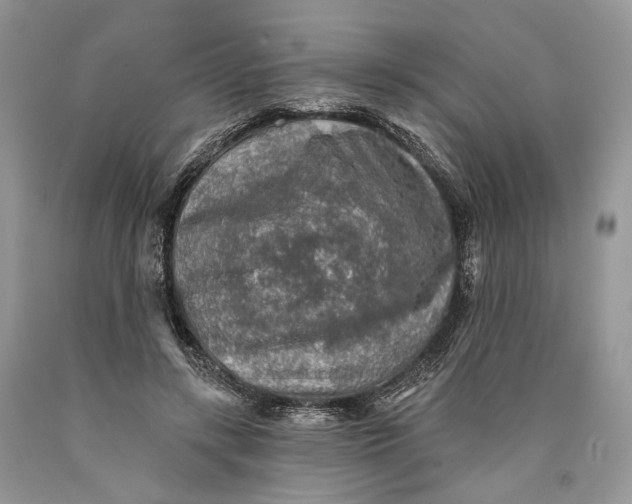 X0000089910547200707201758