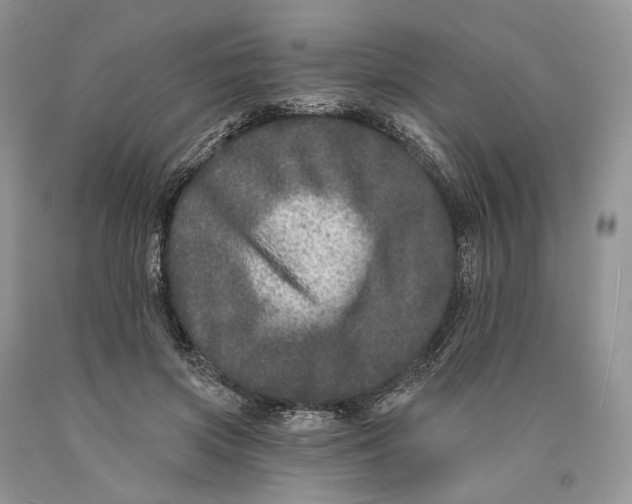 X0000089910549200707201758