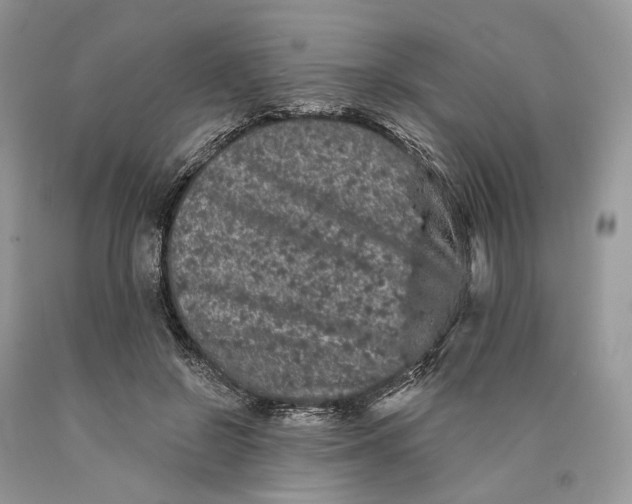 X0000089910550200707201758