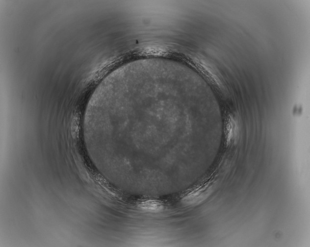 X0000089910551200707201758