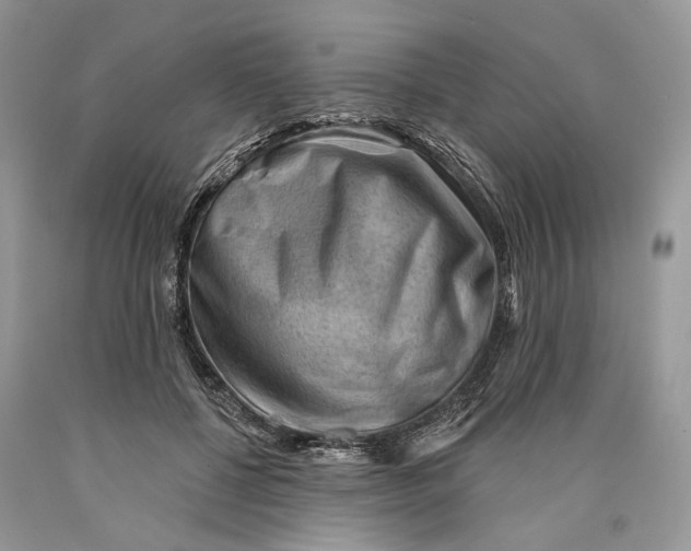 X0000089910552200707201758