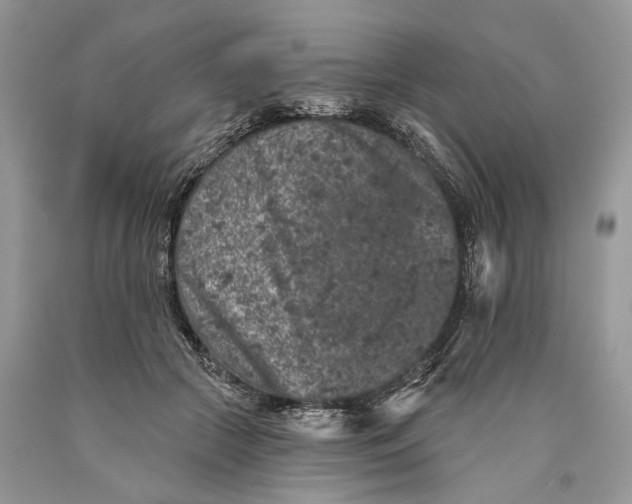 X0000089910553200707201758
