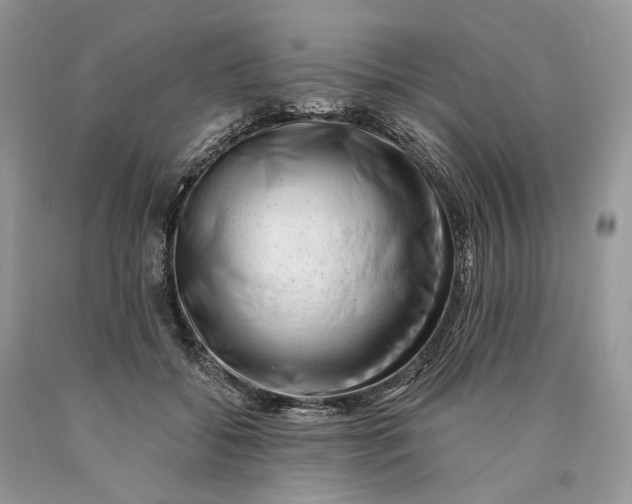 X0000089910556200707201758