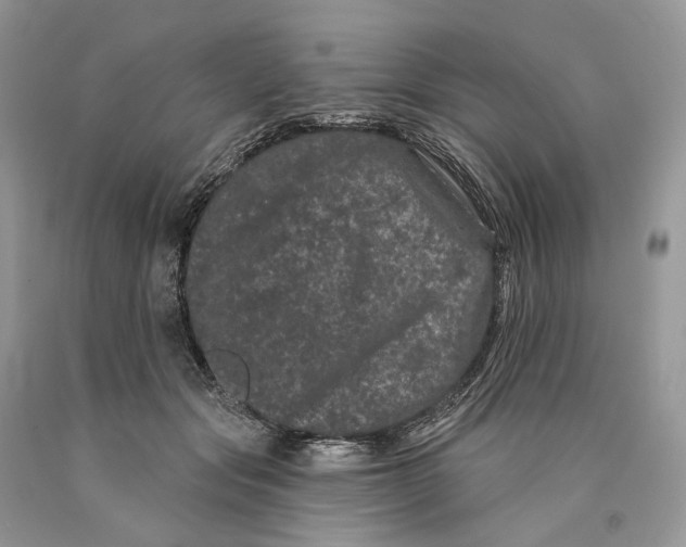 X0000089910557200707201758
