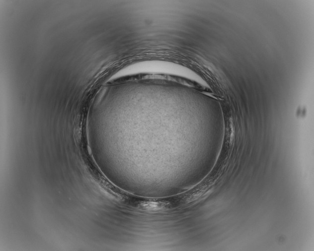 X0000089910558200707201758