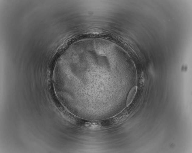 X0000089910559200707201758