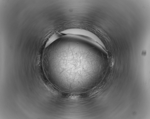 X0000089910560200707201758