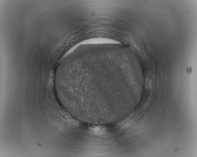 X0000089910561200707201758