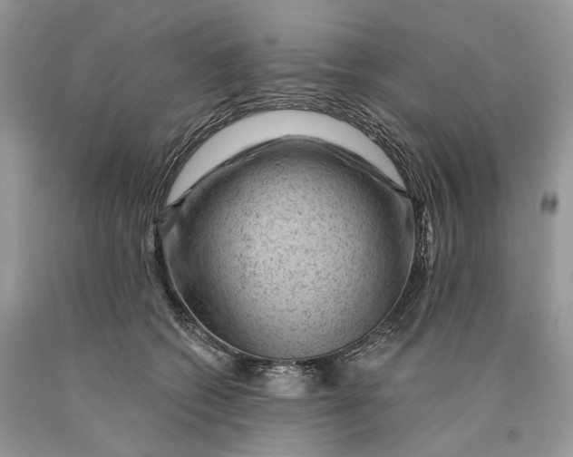 X0000089910562200707201758