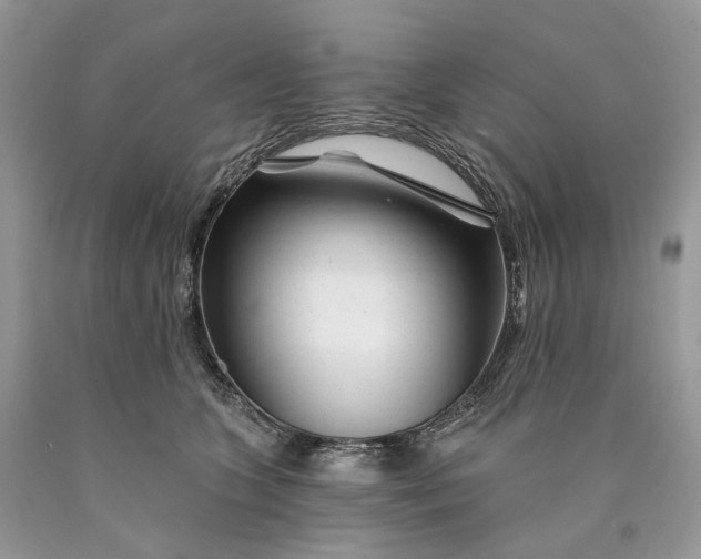 X0000089910563200707201758