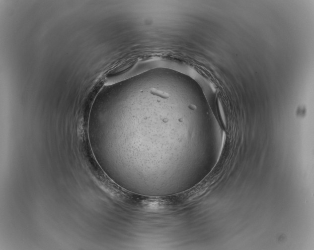 X0000089910564200707201758