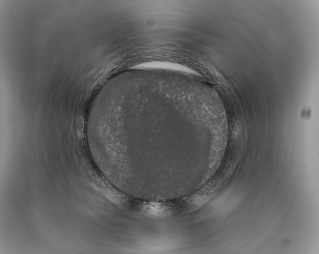 X0000089910565200707201758