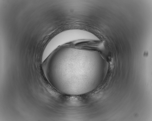 X0000089910566200707201758