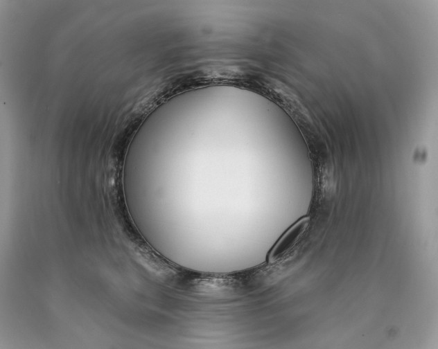 X0000089910567200707201758