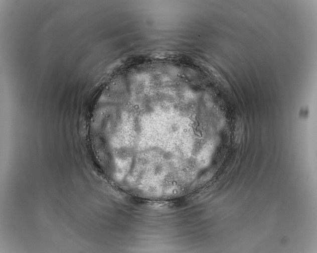 X0000089910569200707201758