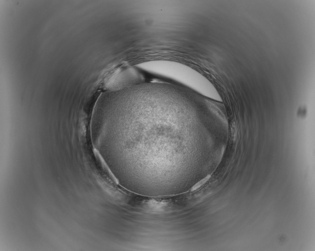 X0000089910570200707201759