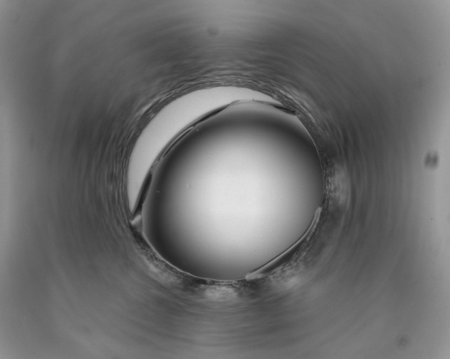 X0000089910572200707201759