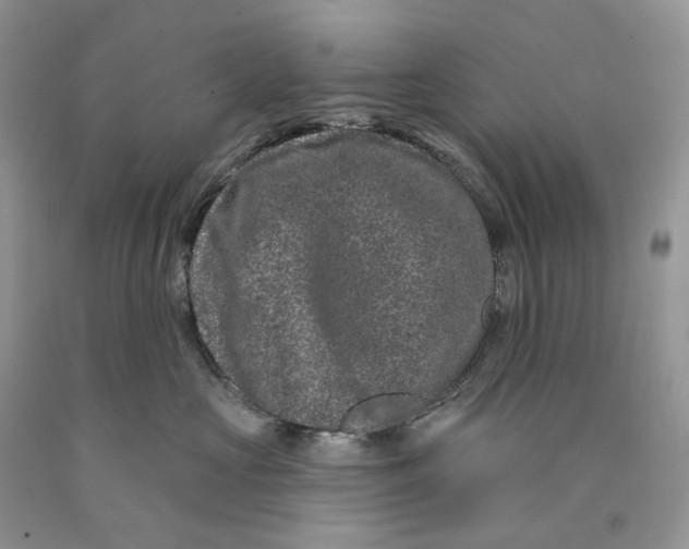 X0000089910573200707201759