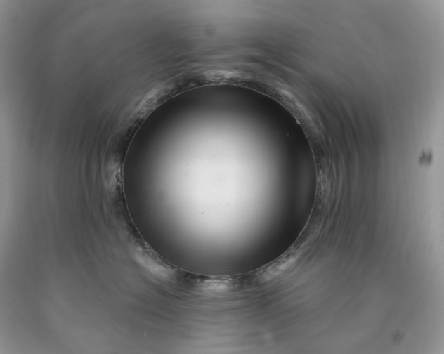 X0000089910574200707201759