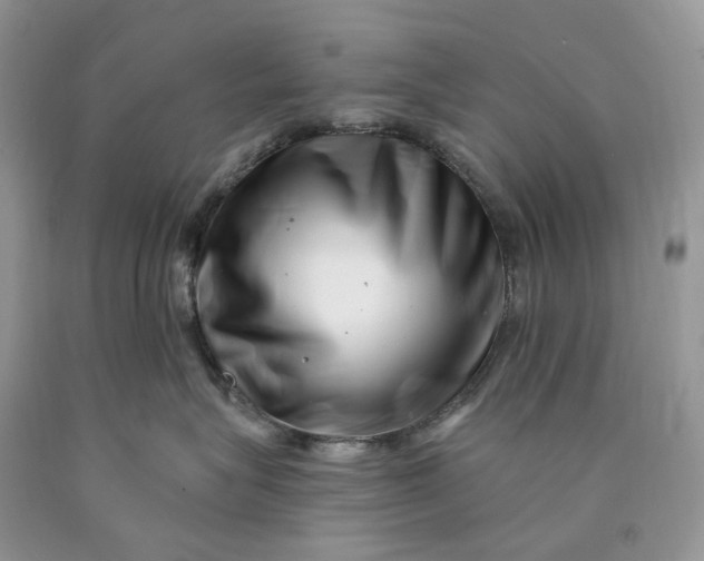 X0000089910575200707201759