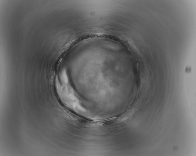 X0000089910576200707201759