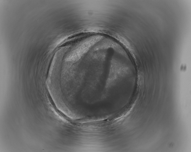 X0000089910577200707201758