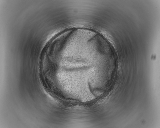 X0000089910578200707201758
