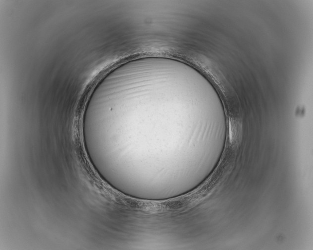 X0000089910579200707201758