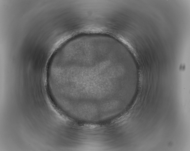 X0000089910582200707201758