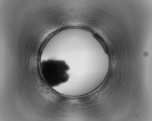 X0000089910583200707201758