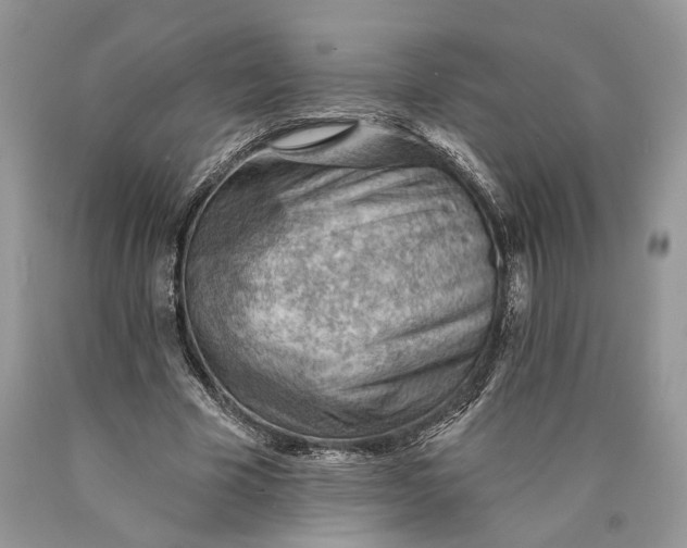 X0000089910585200707201758