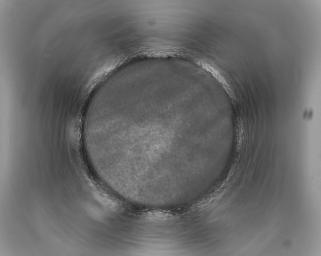 X0000089910586200707201758