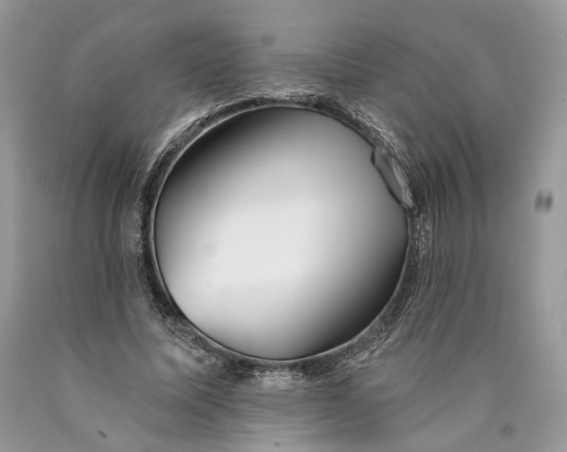 X0000089910587200707201758