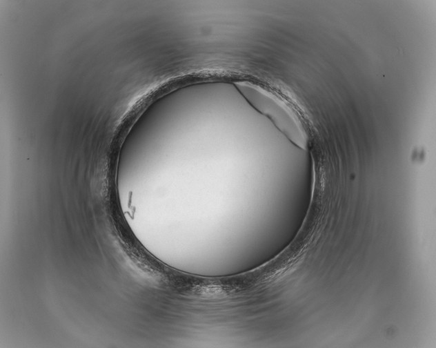 X0000089910588200707201758
